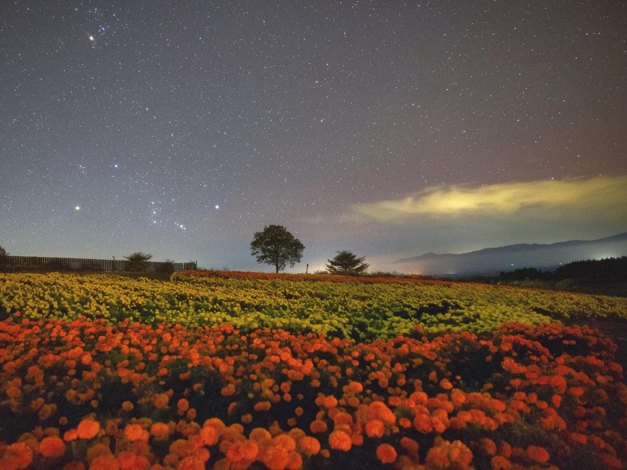 くじゅう花公園　キャンピングリゾート花と星 Kuju Εξωτερικό φωτογραφία