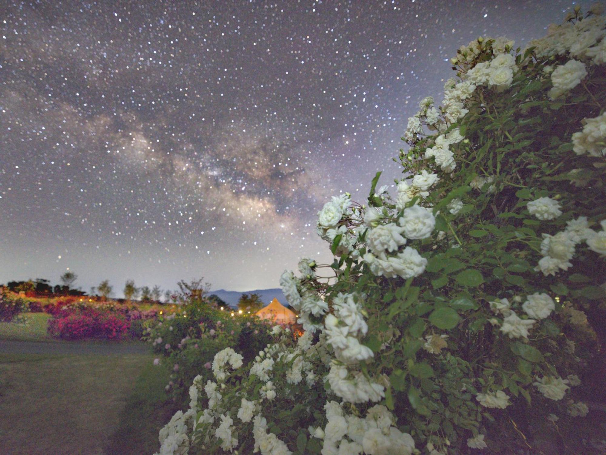 くじゅう花公園　キャンピングリゾート花と星 Kuju Εξωτερικό φωτογραφία
