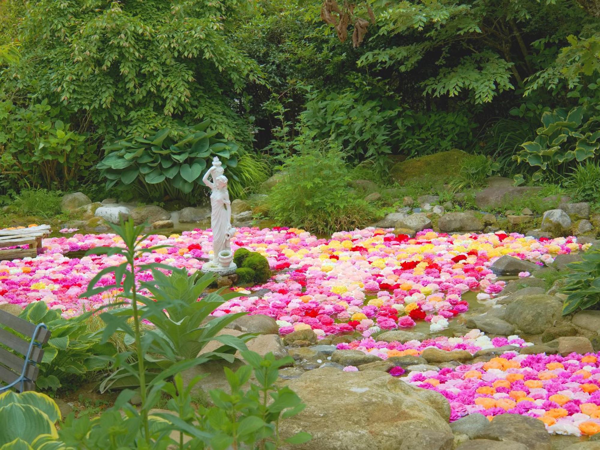 くじゅう花公園　キャンピングリゾート花と星 Kuju Εξωτερικό φωτογραφία