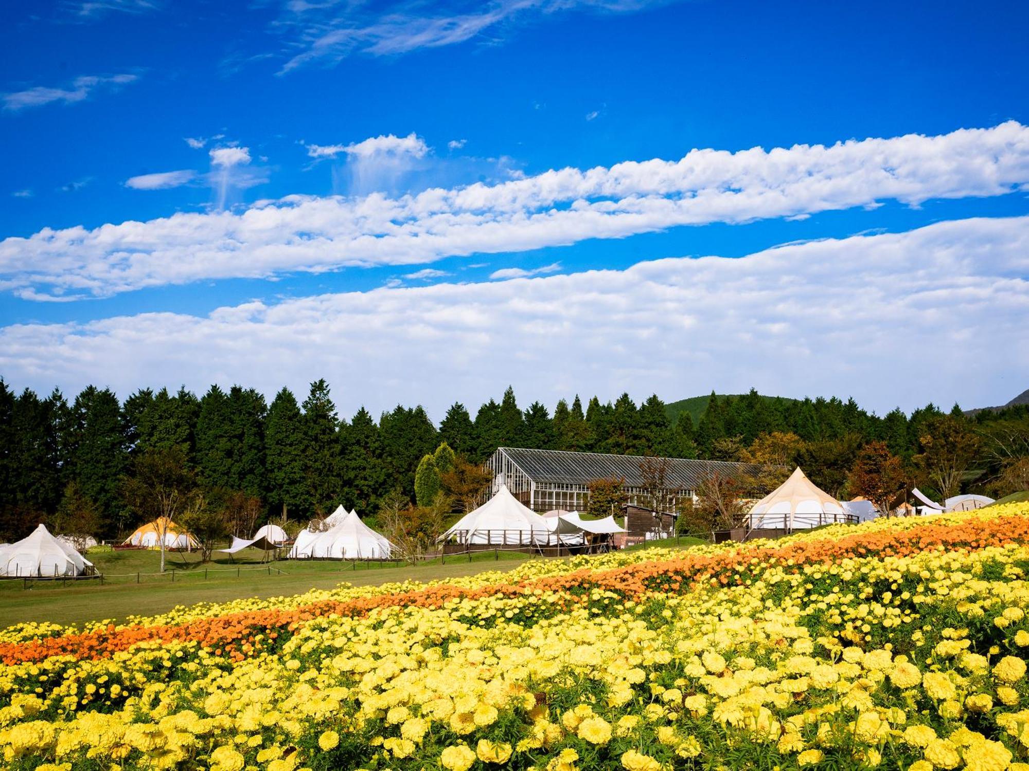 くじゅう花公園　キャンピングリゾート花と星 Kuju Εξωτερικό φωτογραφία