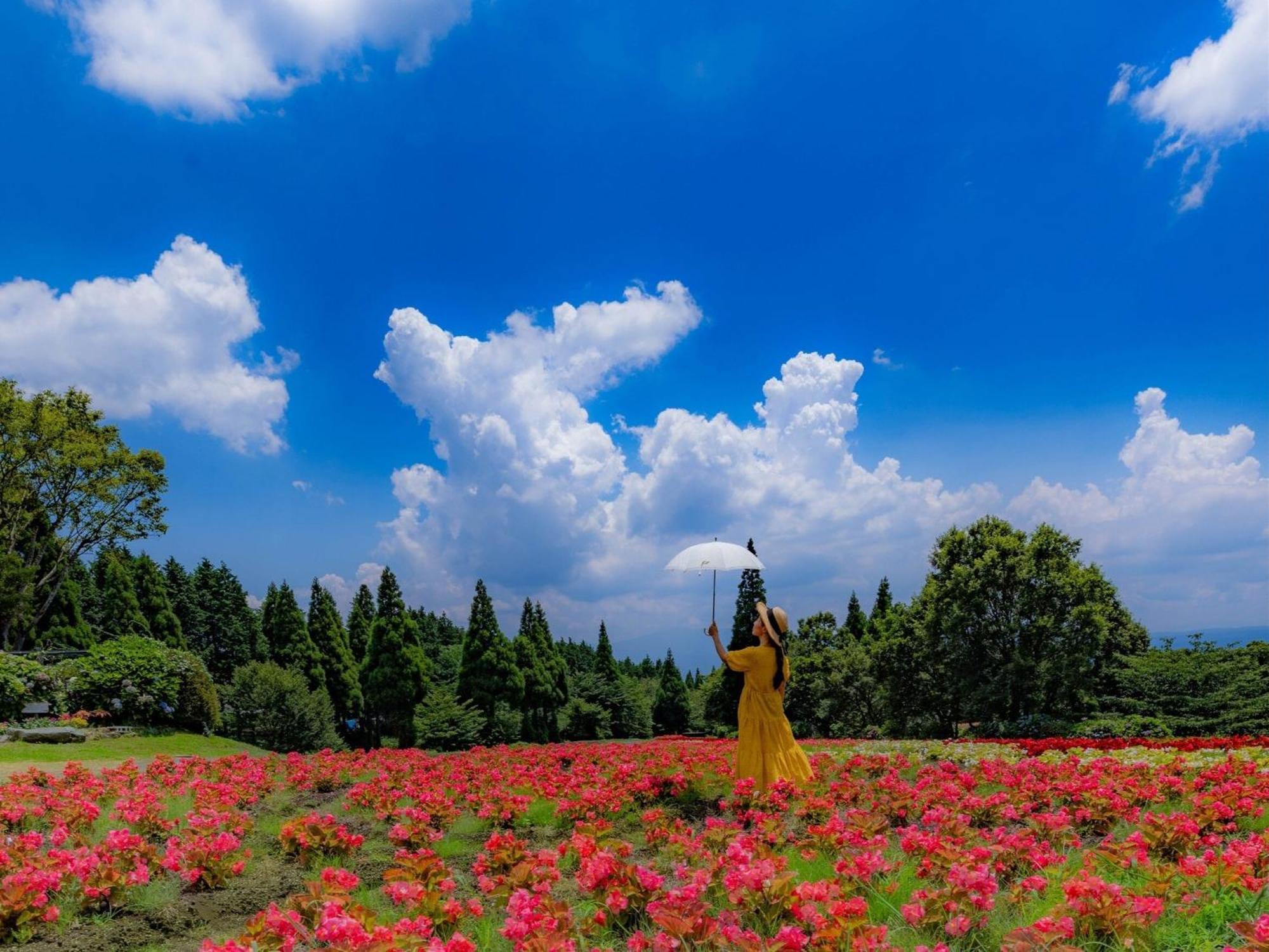 くじゅう花公園　キャンピングリゾート花と星 Kuju Εξωτερικό φωτογραφία