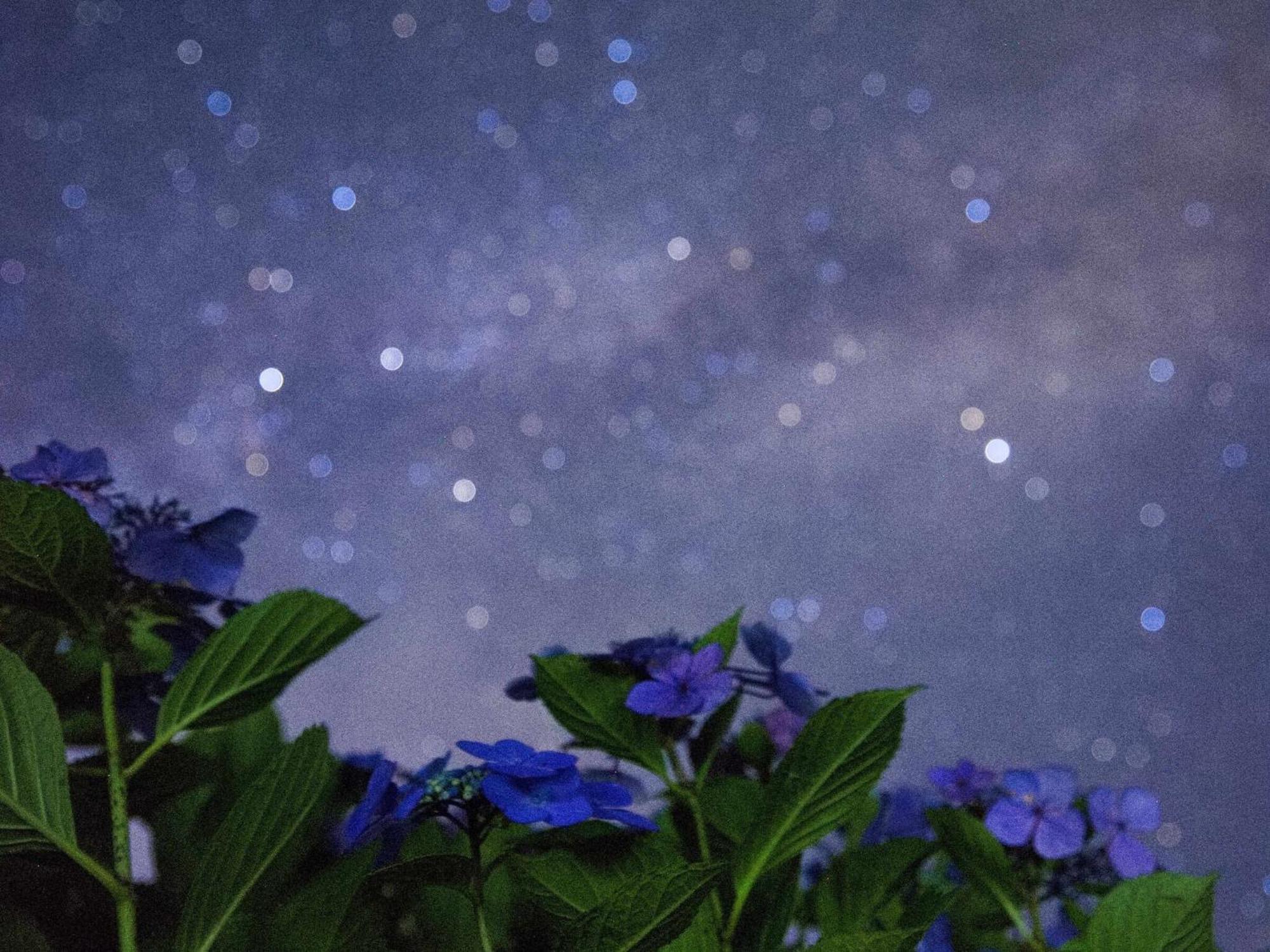 くじゅう花公園　キャンピングリゾート花と星 Kuju Εξωτερικό φωτογραφία