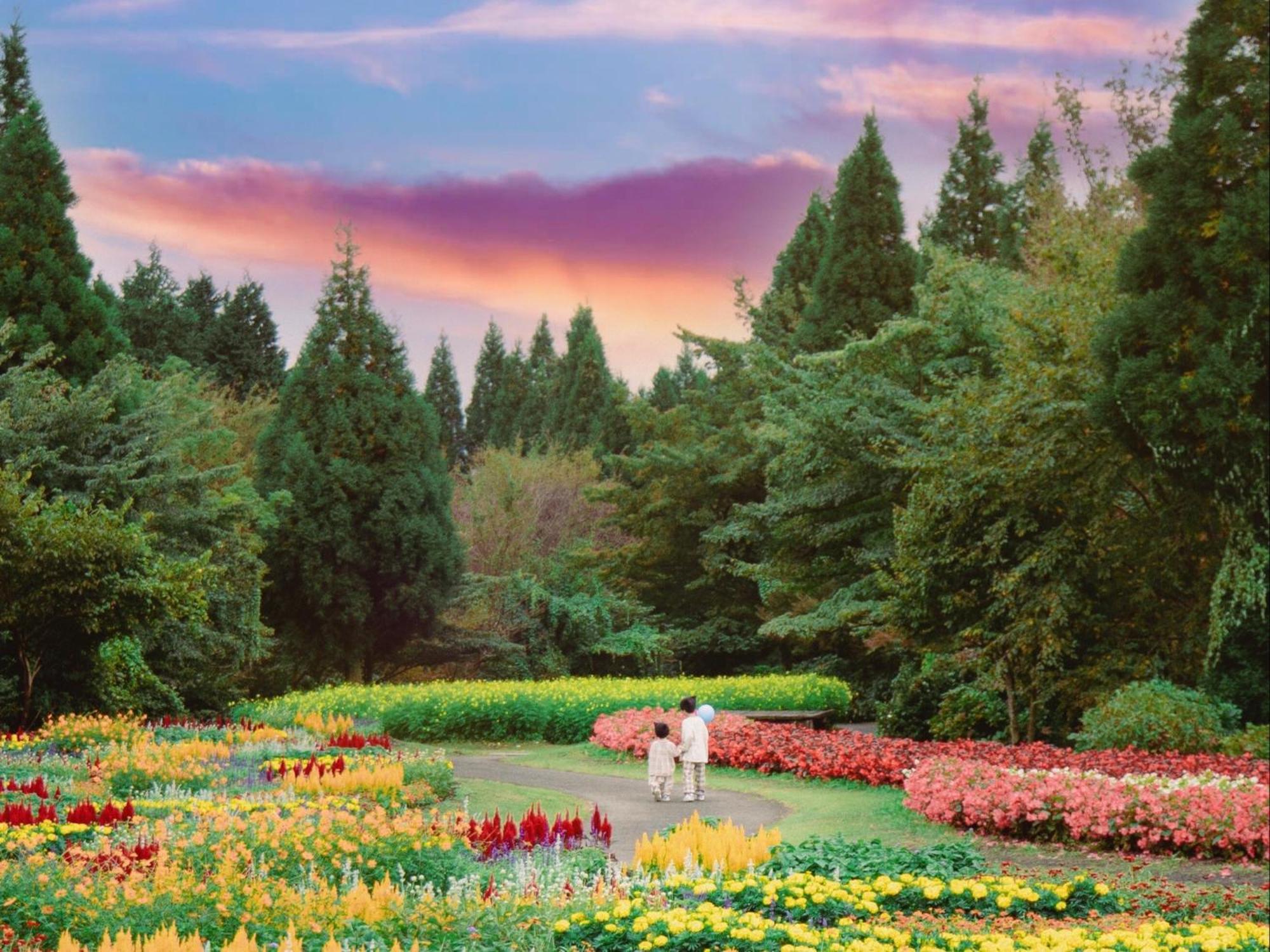 くじゅう花公園　キャンピングリゾート花と星 Kuju Εξωτερικό φωτογραφία